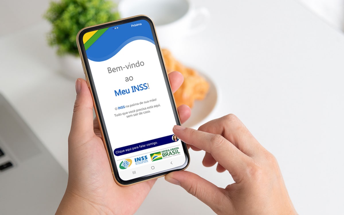 Como baixar e acessar o Meu INSS?