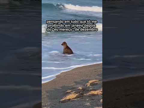 A fatura de Janeiro também pesou aí? #financas #meme #emprestimoconsignado
