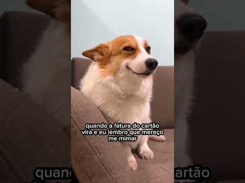 Quando a fatura do cartão vira e eu lembro que mereço me mimar #financas #meme