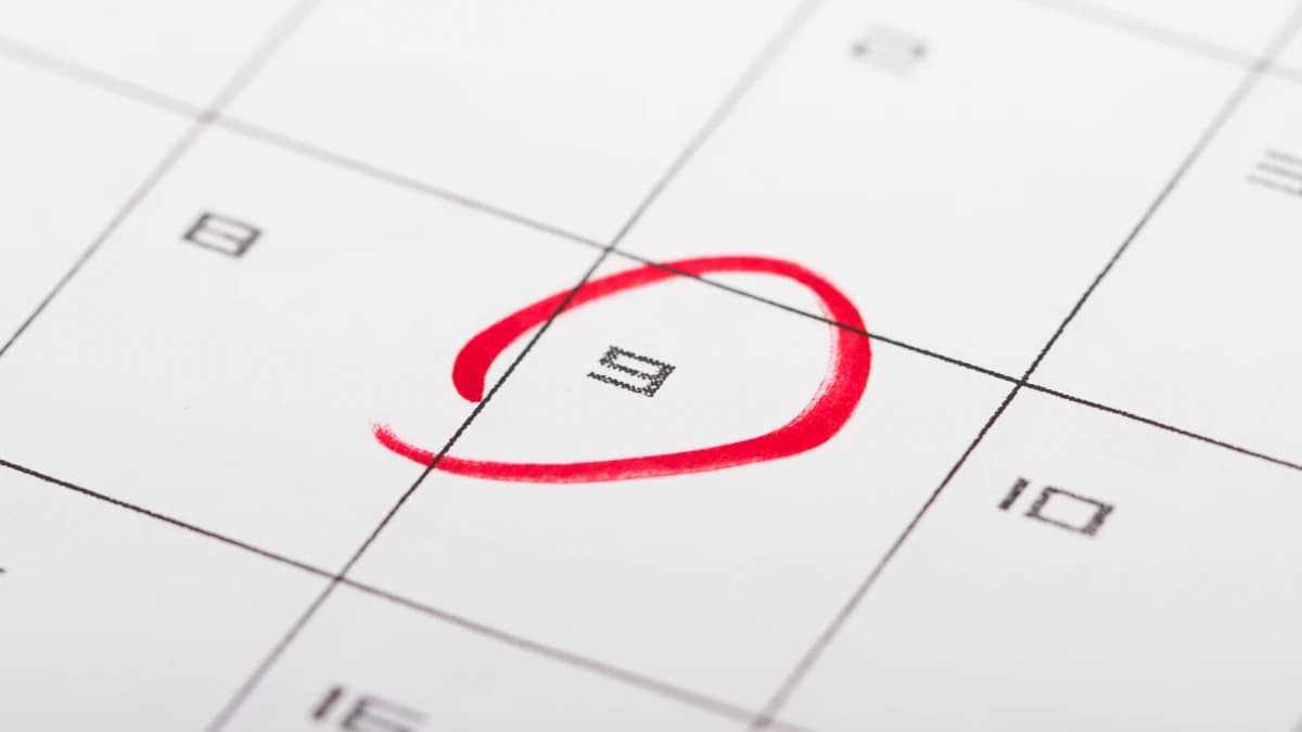 Calendário de pagamentos do INSS 2024: Saiba quando irá receber o benefício